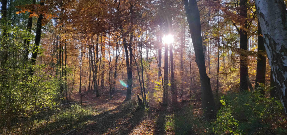 Natur